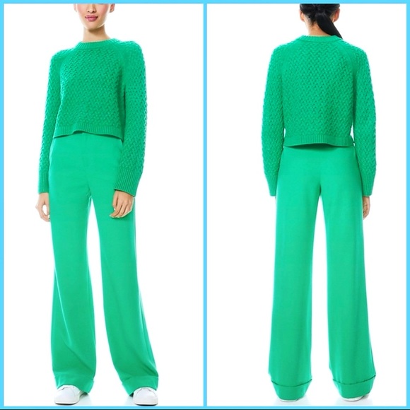 Alice + Olivia Leta Textured & Woven Pullover Mint Kelly Green Sweater - Picture 15 of 16